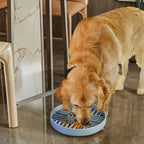 Slow Feeder Dog Bowl Textured Surface