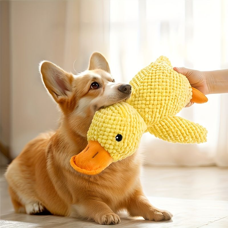 Interactive Duck Dog Toy Plush